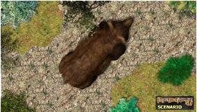 CG_BrownBear.jpg