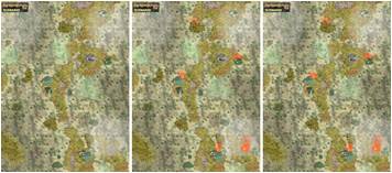 battlemap_swamp_comp_640.jpg